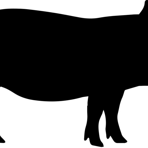 Pig   Clipart 1 Thumbnail