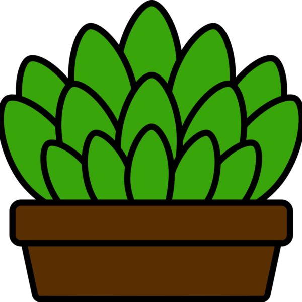 Succulent Plant Thumbnail
