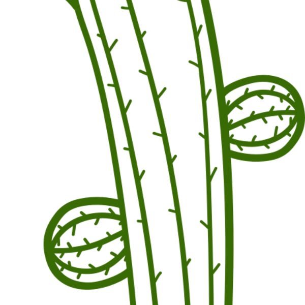 Cactus Thumbnail
