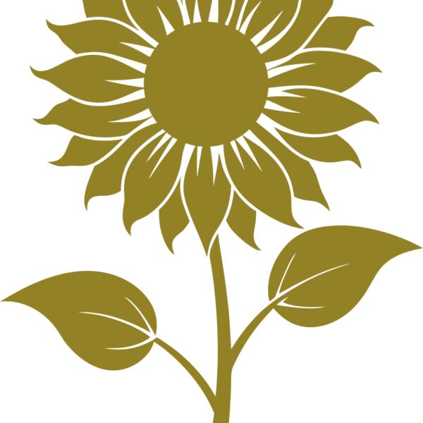 Sunflower 2 Thumbnail