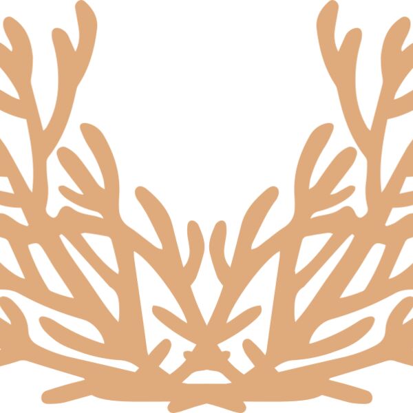 Sea Plants Thumbnail